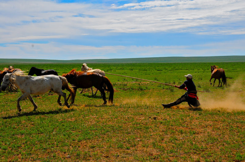 Mongolie